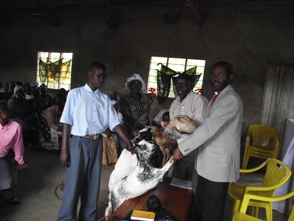 Live animals donated during a fundraising at Kitagasembe parish church